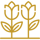 Rimsala Villa - Boutique hotel in Chiangmai - Garden Logo