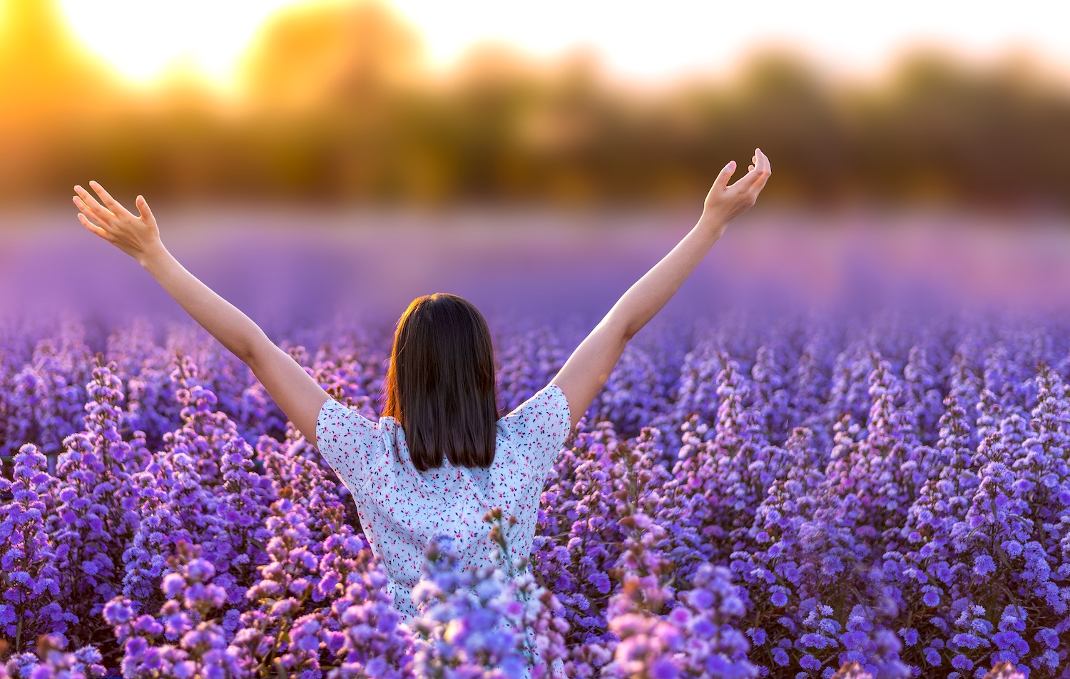 Maerim Flower Fields Chiangmai